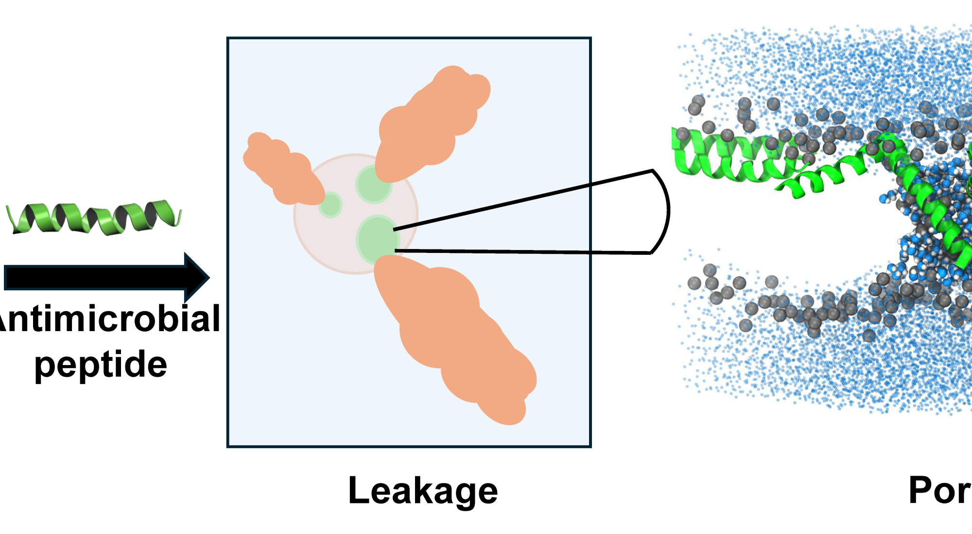 pnas